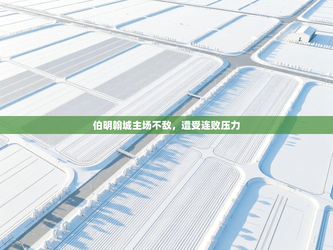 伯明翰城主场不敌,遭受连败压力 第1张